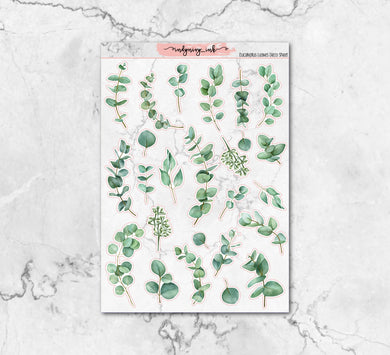 Eucalyptus Plant Sheet